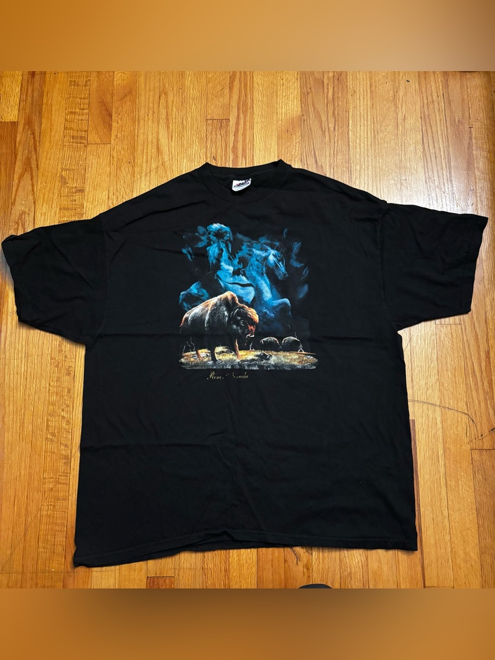 Hanes Heavyweight Mens 2XL Black Graphic Print Crew Neck T-Shirt